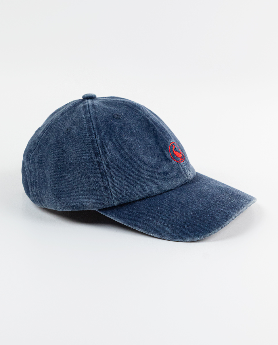 Washed Navy Twill Hat